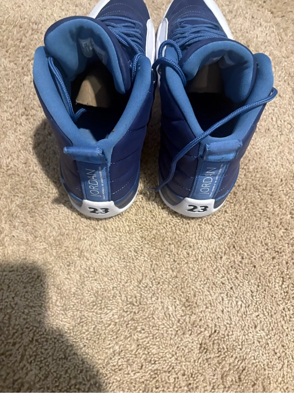 Jordan 12 Obisidian
